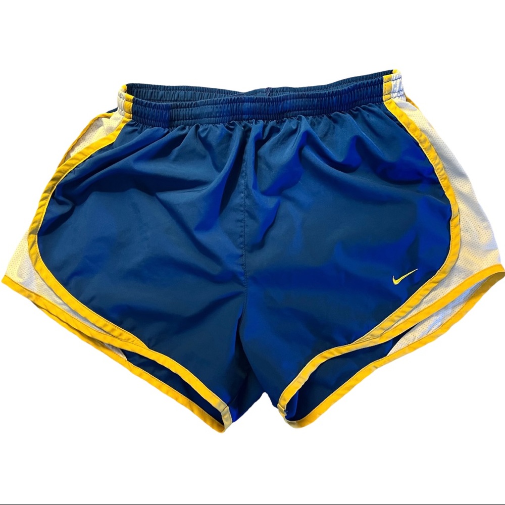 Nike Dri Fit Shorts